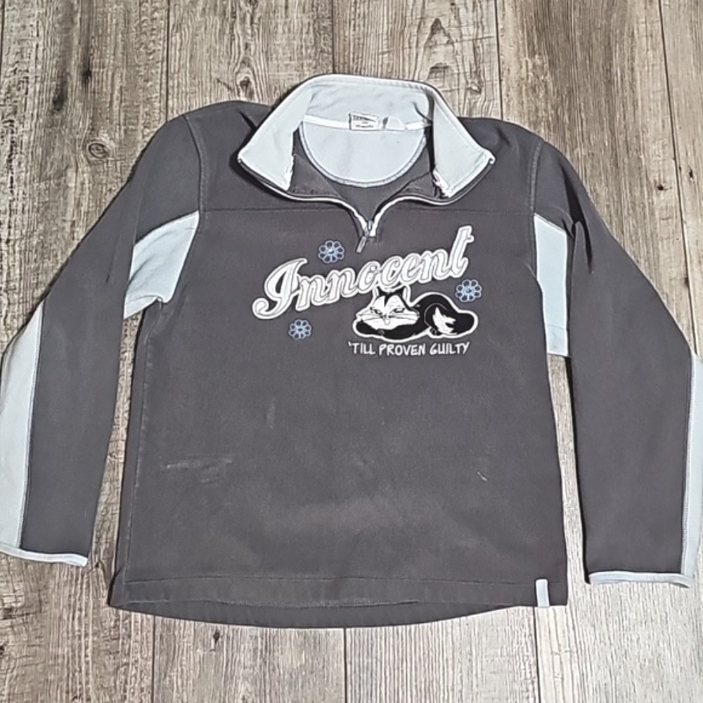 Looney Tunes Pull Over Sweater